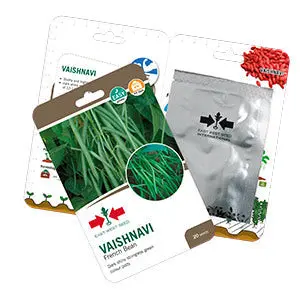 Vaishnavi F1 French Bean 1