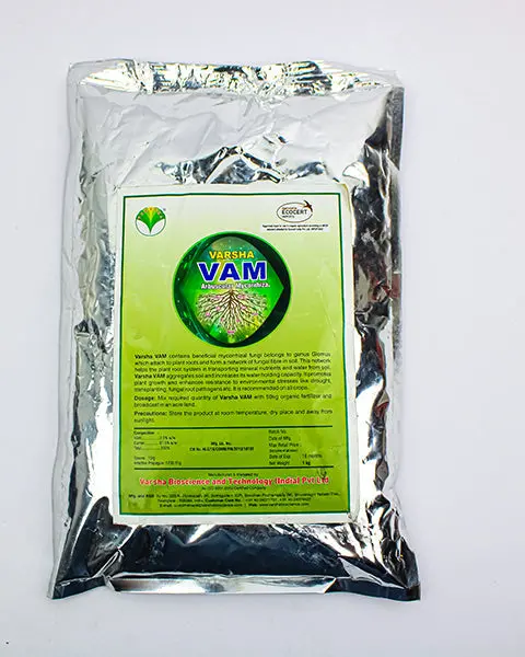 Varsha Vam (Mycorrhiza) 1