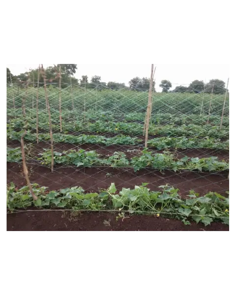 Vedant Crop Support Net For Cucumber Gourd Crops | Light Weight & Durable 1