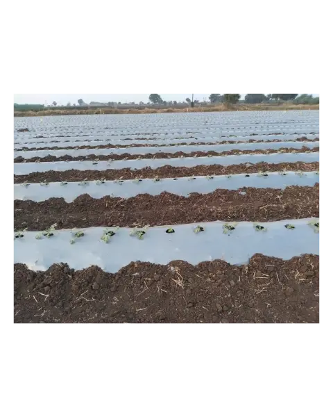 Vedant Regular Quality Silver/Black Mulch Film- 1.2Mx400m 1