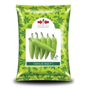 East West Venus 942 F1 Chilli Seeds 1