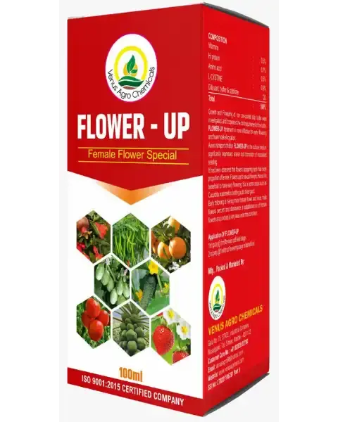 Venus Flower Up 1