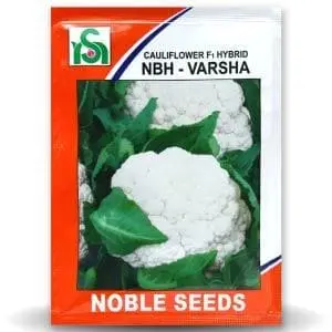 Varsha Cauliflower 1