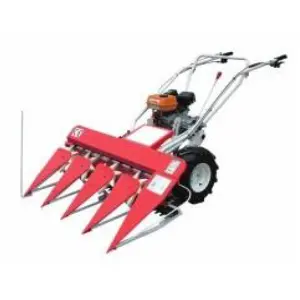 Vinspire Power Reaper Self Propelled Diesel- Greaves 5 Hp 1