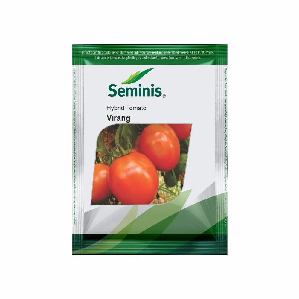 Virang Tomato Seeds By Seminis | Hybird & Semi-Determinate Variety 1