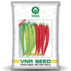Vnr 109 F1 Hybrid Chilli Seeds - Early Maturity, Light Green, Medium Pungent, High Yield 1