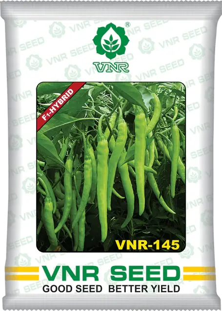Vnr 145 F1 Hybrid Chilli Seeds 1