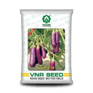 Vnr 218 Brinjal Seeds 1