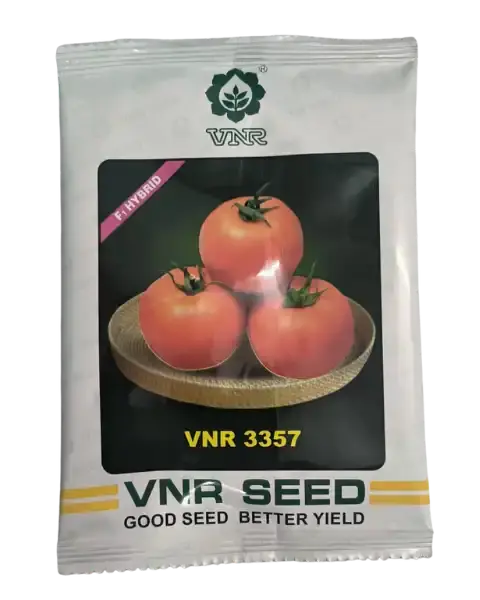 3357 F1 Hybrid Tomato Seeds 1