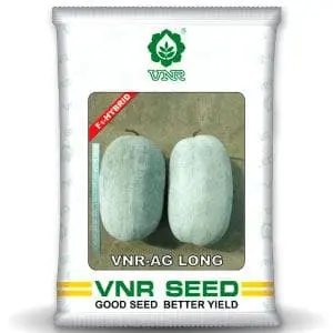 Ag Long F1 Hybrid Ash Guard Seeds 1