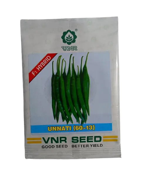 Vnr Unnati (60-13) F1 Hybrid Chilli Seeds 1