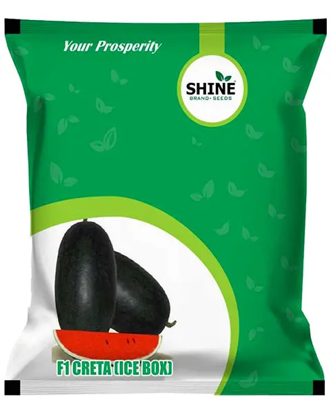 Shine Water Melon Creta Ice Box F1 Hybrid Seeds 1
