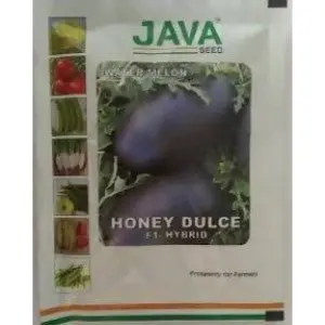 Honey Dulce Water Melon F1 Hybrid Seeds 1