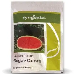 Syngenta Sugar Queen Watermelon Seeds 1