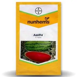 Astha Watermelon Seeds (आस्था तरबूज) 1