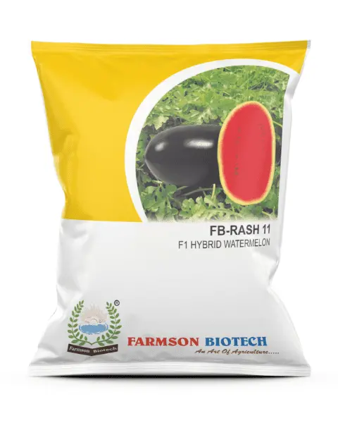 Farmson Watermelon F1 Fb Rash11 (Red, Oval) Seeds 1