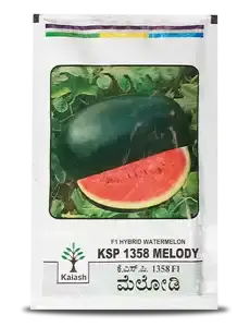Melody F1 Watermelon (Ksp 1358) 1