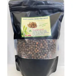 White Sandalwood Seeds (Santalum Album): Grow Precious Sandal Trees 1