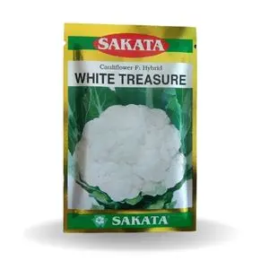Sakata White Treasure Cauliflower 1
