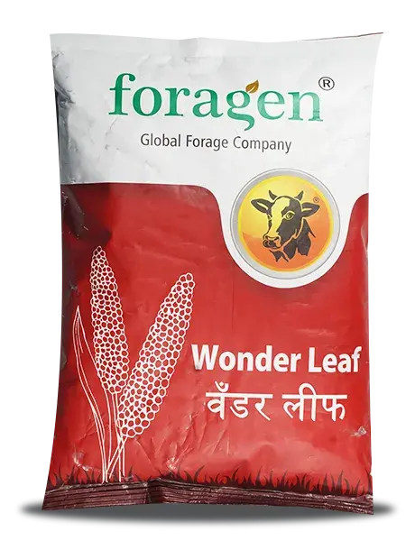 Wonder Leaf (Millet Multi-Cut) 1