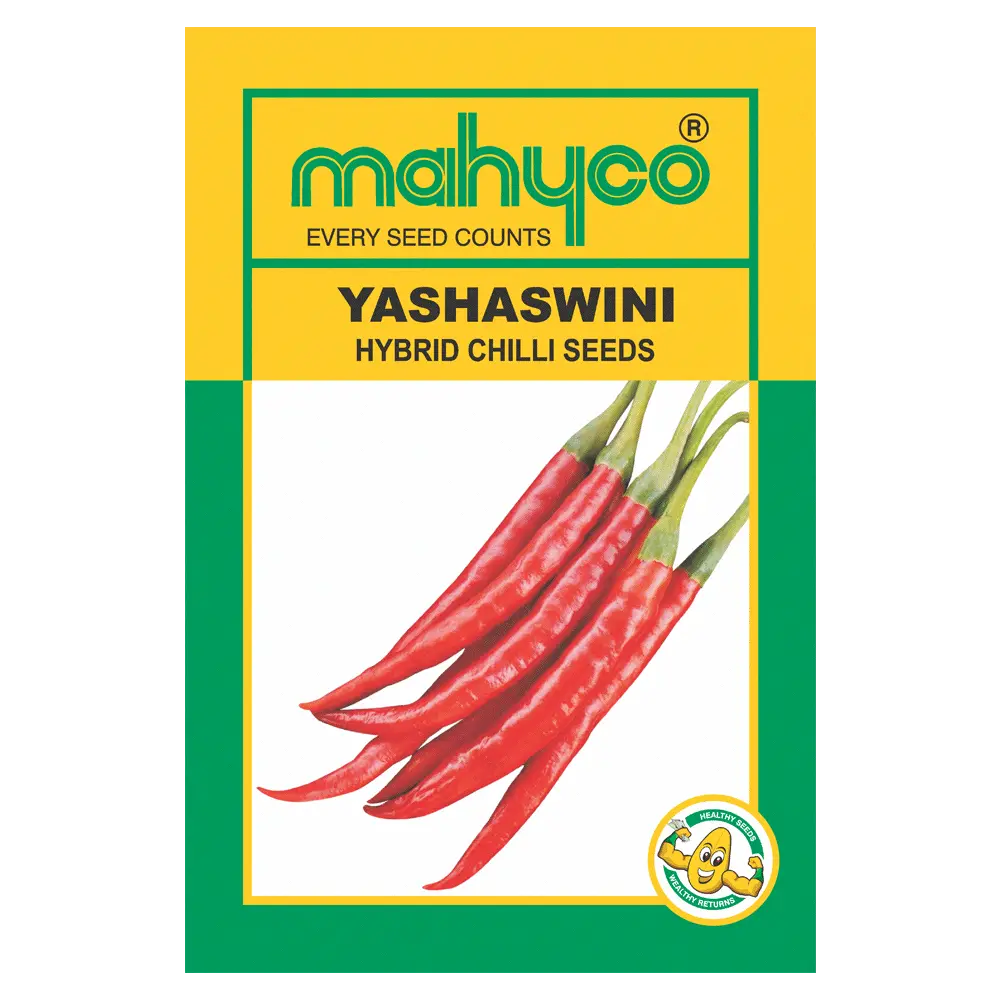 Yashaswaini Chilli Seeds For High Yield 1