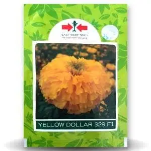 Yellow Dollar Marigold 1