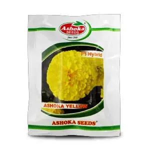 Ashoka Yellow F1 Hybrid Marigold Seeds 1