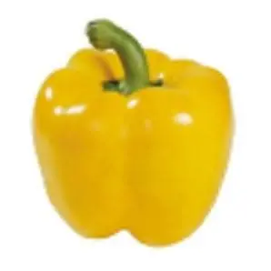 Yellow Queen Capsicum Seeds 1