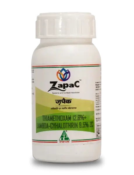 Zapac Insecticide – Dual Action Pest Control For Healthy Crops 1