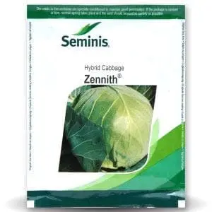 Zennith Cabbage 1