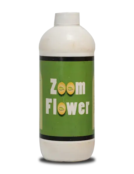 Zoomflower Flower Booster: Enhance Flowering & Yield In All Crops 1