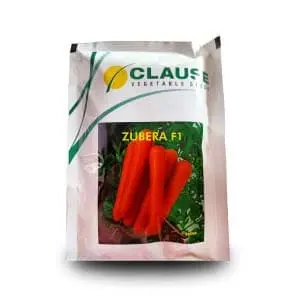 Zubera F1 Carrot 1