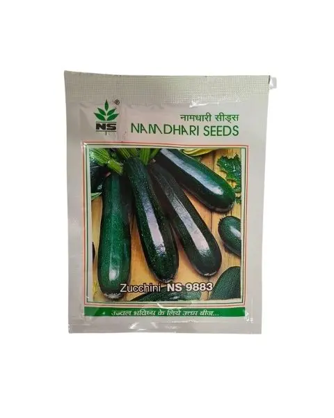 Zucchini Ns 9883 1