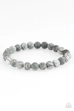 Paparazzi Oblivion - Silver 1